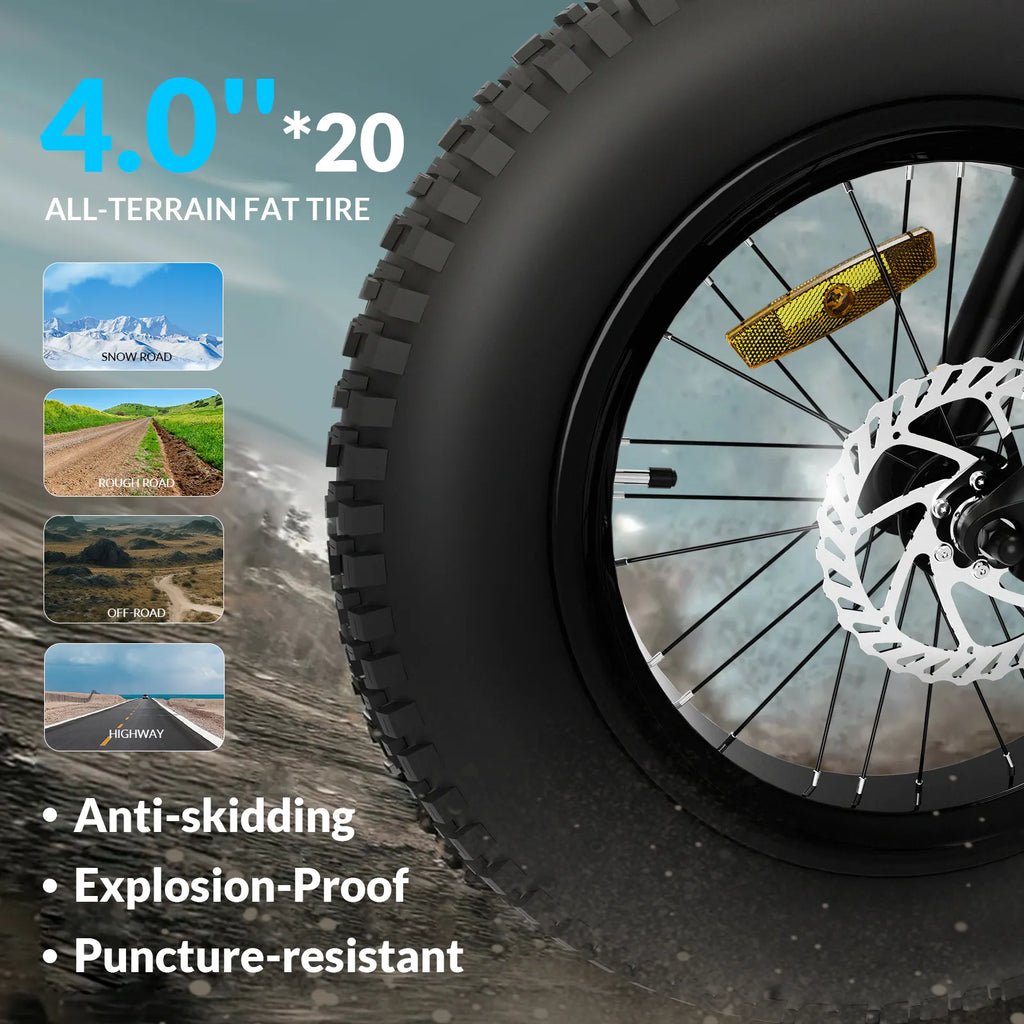 EB06 New Design Other Bike 500W 48V Ip54 New City Fat Tire
