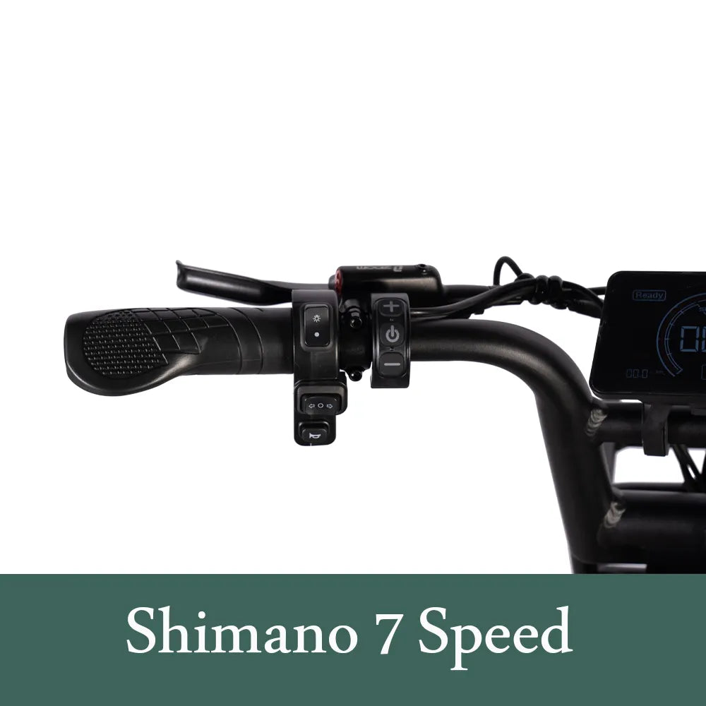 S20 Electric Hybrid Bike Upgrade 250W V20 Fatbike Off-Road