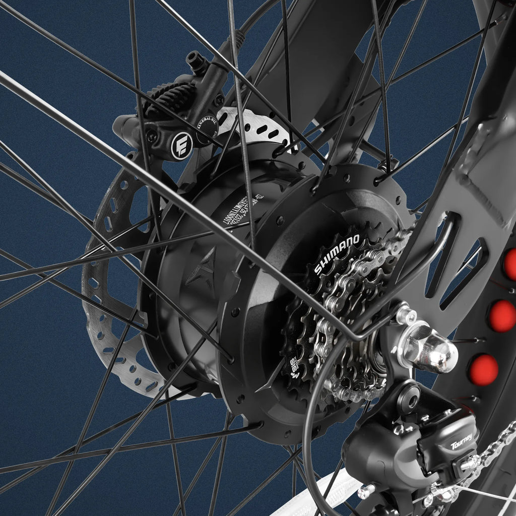 Romeo Pro 2 US EU CA Stock Eahora 3000W 26 * 4.0 Fatbike