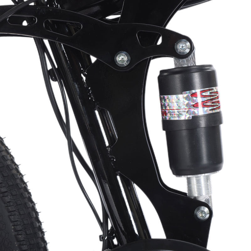 Customized processing export EBIKE electric bicycle Lujiehu pedal assisted bicycle foreign trade export support sticker