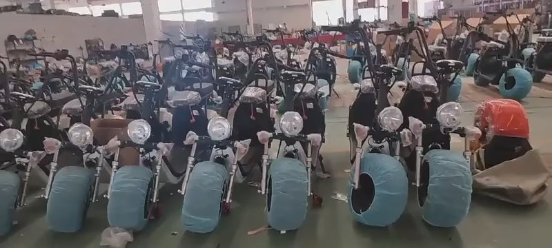 China Warehouse Scotters Two Wheel City 1500w Citycoco